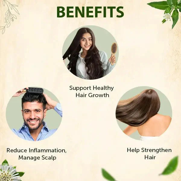 Jamalgota Powder for Hair Growth, Natural Skin & Hair Solution ( Pack Of 2 )