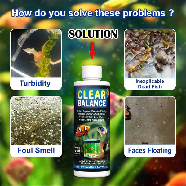 Automatic Fish tank Cleaner Liquid ( Pack of 2 )