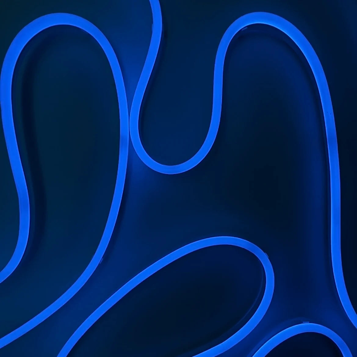 LED Smart Neon Strip Light